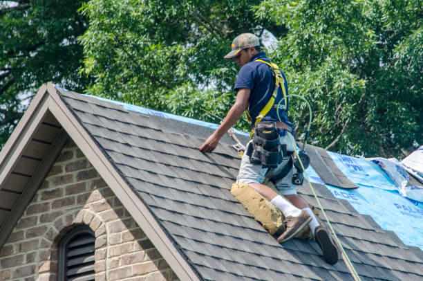 Quick and Trustworthy Emergency Roof Repair Services in Newberry, FL